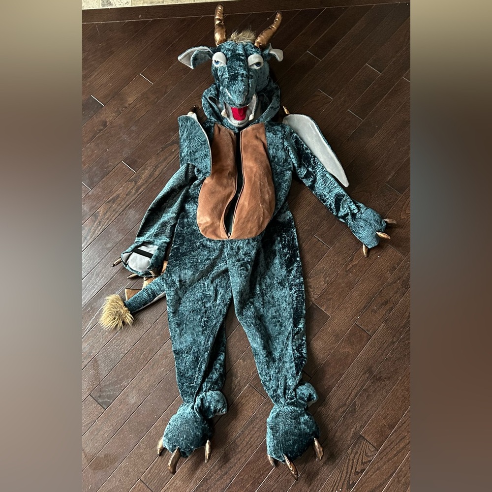 Boys Dragon Halloween Costume 5T
